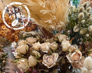 東京堂 アーティフィシャルフラワー 造花 プリザーブドの販売 卸問屋 東京堂 アーティフィシャルフラワー 造花 プリザーブドの販売 卸問屋