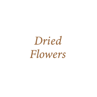 Dried Flowers