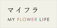 マイフラ