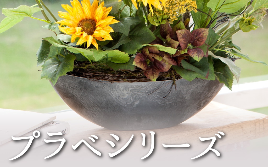 プラベシリーズ