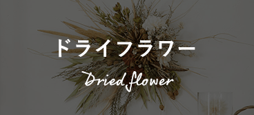ドライフラワー