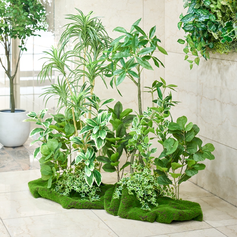 ディスプレイ事例