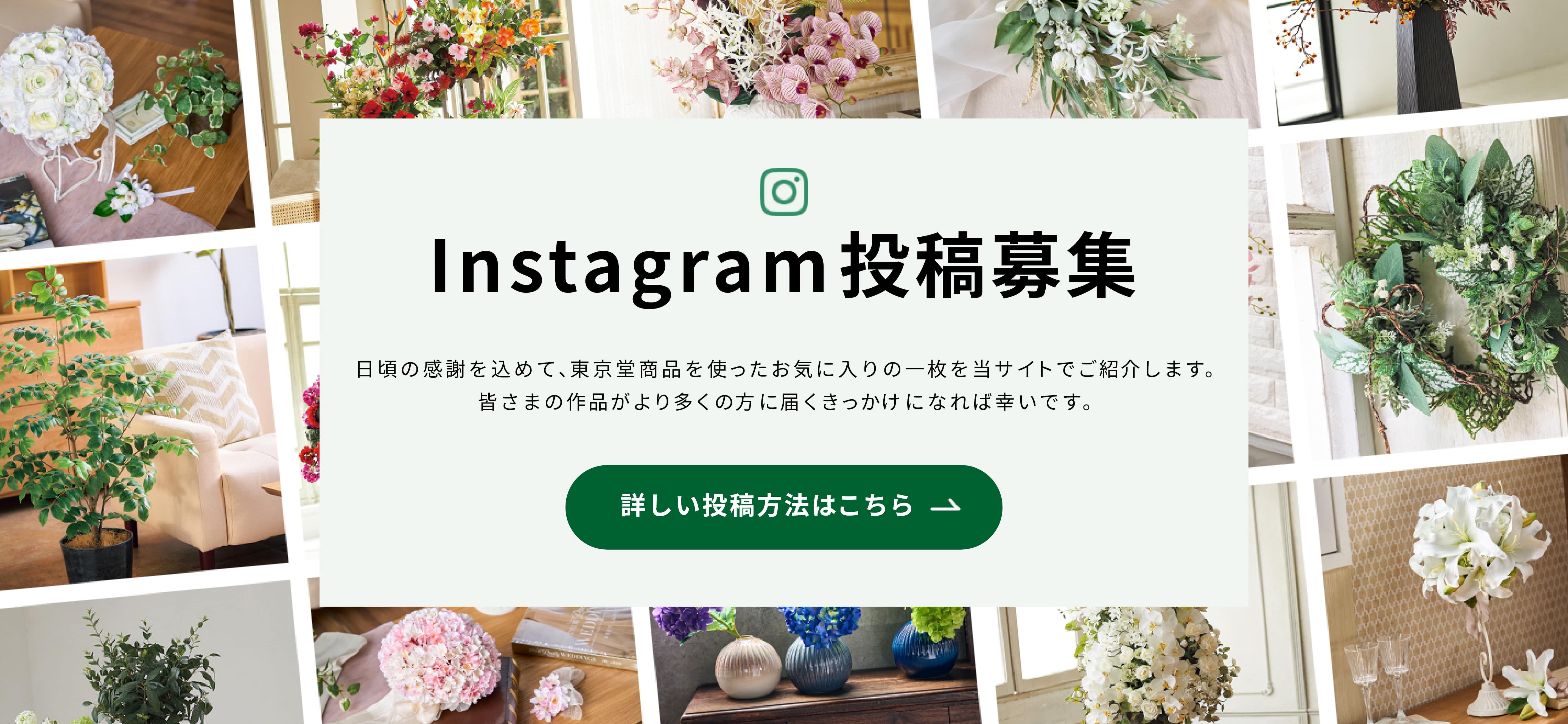 Instagram投稿