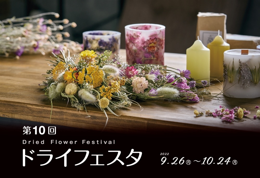 東京堂 フラワー資材 リースワイヤー#23 (5コ入り) AW000907 wemu53pzMS, その他キッチン、日用品、文具 -  centralcampo.com.br